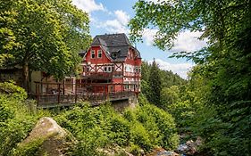 Waldgasthaus & Berghotel Steinerne Renne